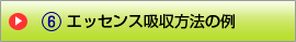 エッセンス吸収方法の例